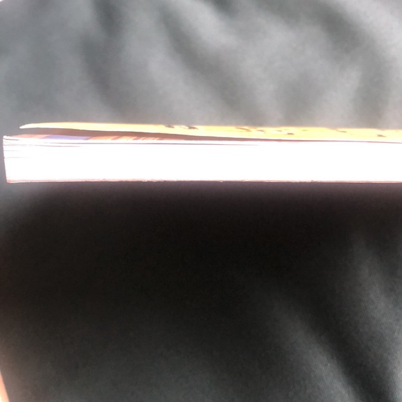 Book- Hank Zipzer, the World's Greatest Underachiever Niagara Falls, or Does It? - Picture 11 of 16